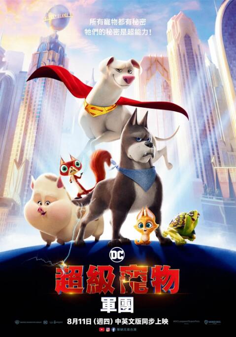 漂亮的阿姨电视剧免费播放中文版