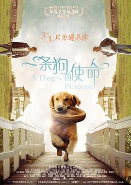 国产人成久久久精品